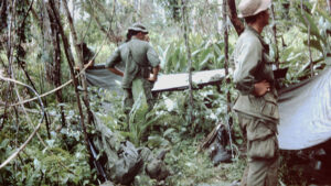 A scene of soldiers in the jungles of Vietnam.